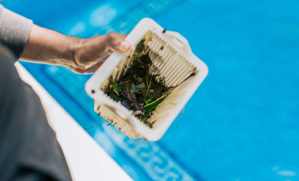 Best Estate Cleanout Services  in Walnut Creek, CA